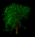 windy_tree_sb.gif