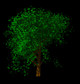 windy_tree_mb.gif