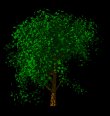 windy_tree_lb.gif
