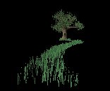 tree_grass_windy_lc.gif