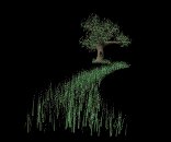 tree_grass_windy_lb.gif
