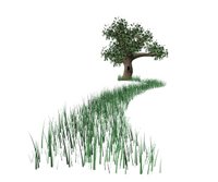 tree_grass_windy.jpg
