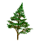 pinetree_sway_sw.gif