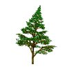 pinetree_sway_mw.gif