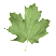 maple_leaf_shake_tw.gif