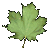 maple_leaf_shake_tc.gif