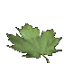 maple_leaf_falling_sc.gif