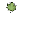 maple_leaf_detail_tc.gif