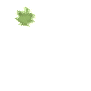 maple_leaf_detail_sw.gif