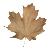 maple_leaf_brown_shake_tw.gif