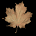 maple_leaf_brown_shake_tb.gif