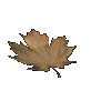 maple_leaf_brown_fall_a_sc.gif