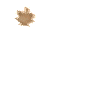maple_leaf_brown_detail_sw.gif