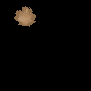 maple_leaf_brown_detail_sb.gif