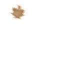 maple_leaf_brown_detail_mw.gif