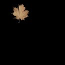 maple_leaf_brown_detail_mc.gif