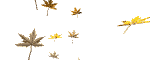 leaves_mw.gif