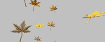 leaves_mgry.gif