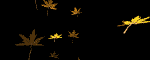 leaves_mb.gif
