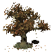leaves_falling_sc.gif