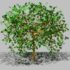 green_tree_mgry.gif