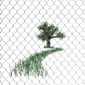 fence_tree_wind_blowing_mw.gif