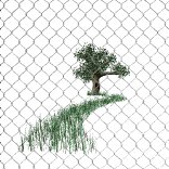 fence_tree_wind_blowing_lw.gif