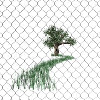 fence_tree_wind_blowing.jpg
