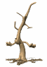 barney_the_tree_dormant_sw.gif
