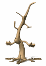 barney_the_tree_dormant_mw.gif