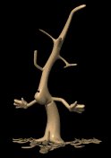 barney_the_tree_dormant_lb.gif