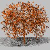 autumn_tree_mgry.gif