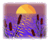 sunrise_over_pond_sw.gif