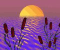 sunrise_over_pond_mc.gif