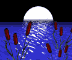 moon_over_pond_sc.gif