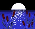 moon_over_pond_mc.gif