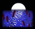moon_over_pond_mb.gif