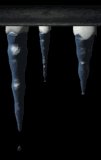 icecycles_mb.gif