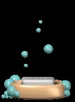 bubbles_soap_lc.gif