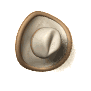 cowboy_hat_swinging_sw.gif