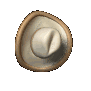 cowboy_hat_swinging_sc.gif