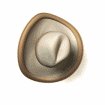 cowboy_hat_swinging_mw.gif