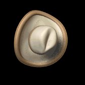 cowboy_hat_swinging_lc.gif