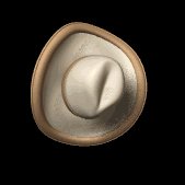 cowboy_hat_swinging_lb.gif