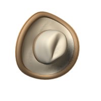 cowboy_hat_swinging_hr.jpg