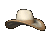 cowboy_hat_showcase_tc.gif