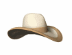 cowboy_hat_showcase_mw.gif
