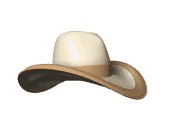 cowboy_hat_showcase_lw.gif