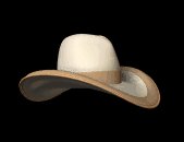 cowboy_hat_showcase_lc.gif
