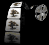 filmreel_treeswinging_mb.gif